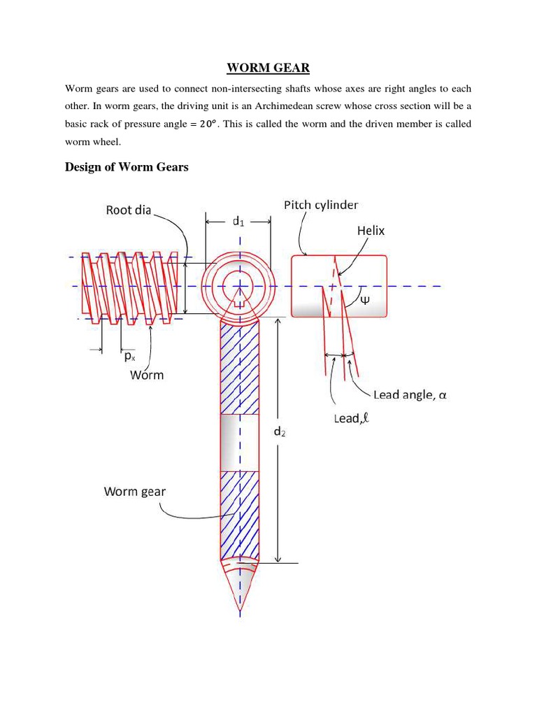 Worm Gear | PDF | Gear | Mechanical Engineering