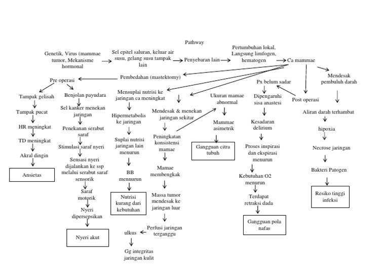 Pathway Kanker Payudara dan Operasi | PDF