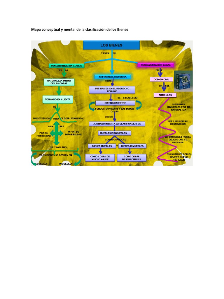 Mapa Conceptual y Mental de La Clasificación de Los Bienes