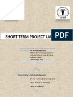 Short Term Project Lab Report: Presented By