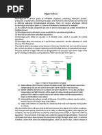 Algae Biotechnology PDF | PDF | Carbon Dioxide | Photosynthesis