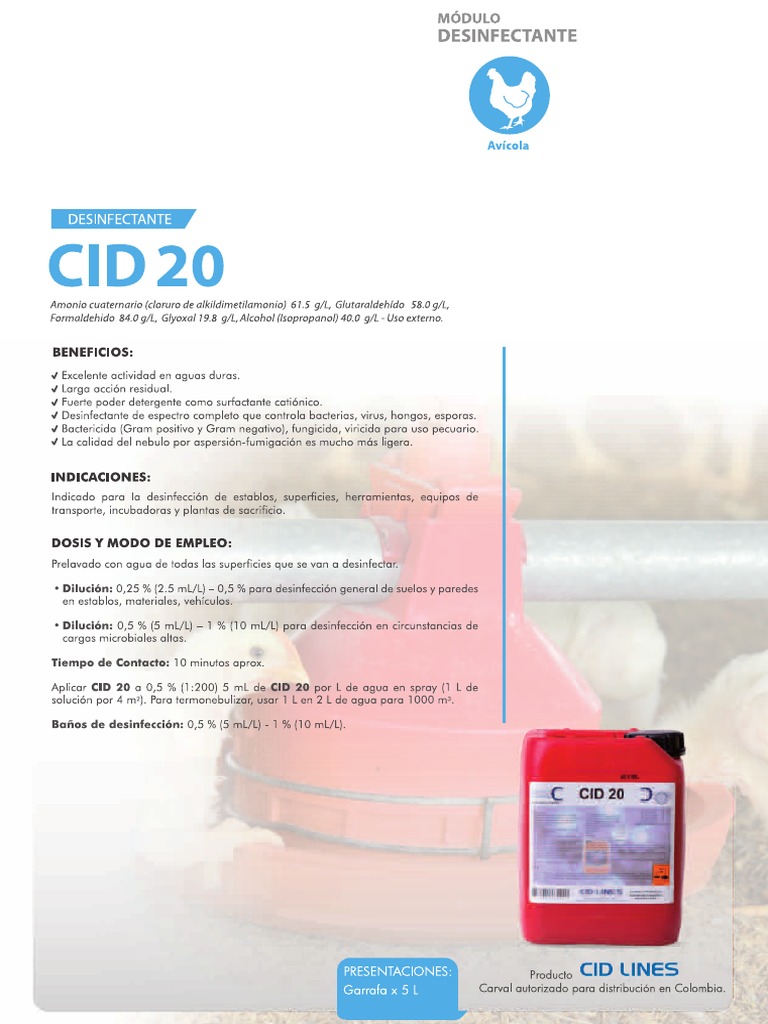 Cid 20 | PDF