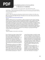 Clonal Propagation of Eucalyptus in Brazilian Nurseries