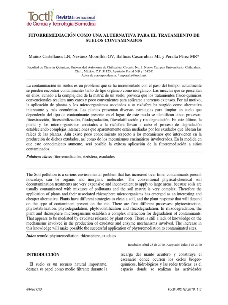 Fitorremediación Como Una Alternativa Para El Tratamiento De Suelos