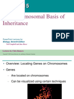 The Chromosomal Basis of Inheritance: Powerpoint Lectures For