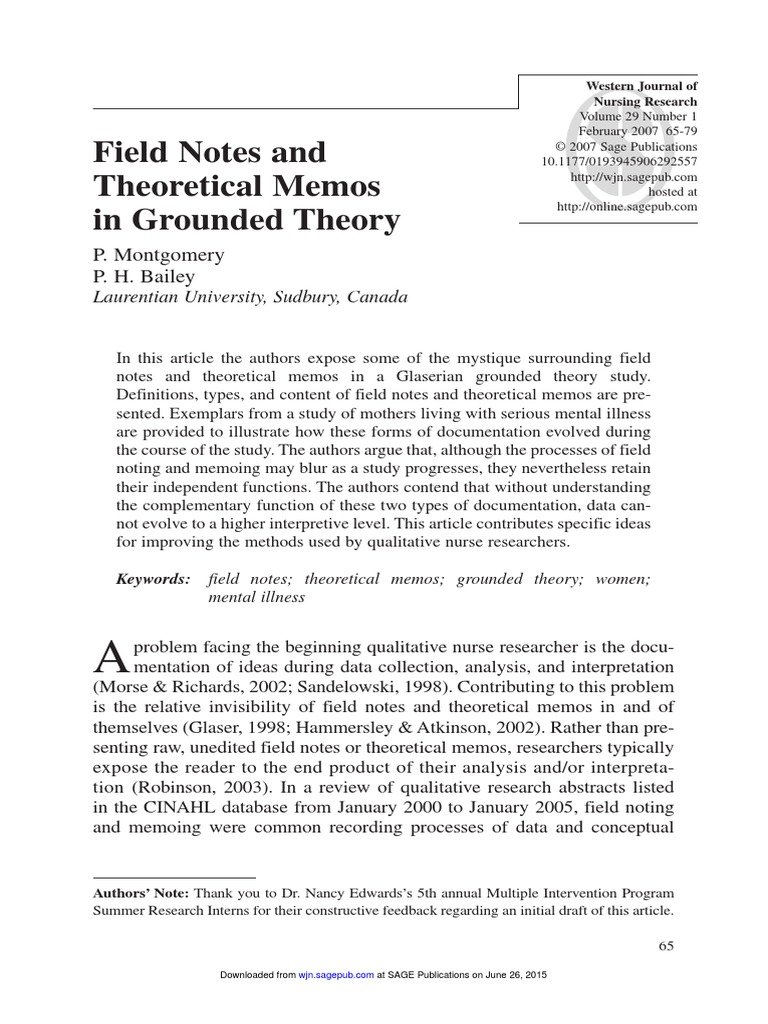 Diff Field Notes & MEMOs PDF Qualitative Research Theory