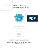 Biologi Buk Sil Makalah Hederiter