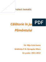 10 Proiect Tematic