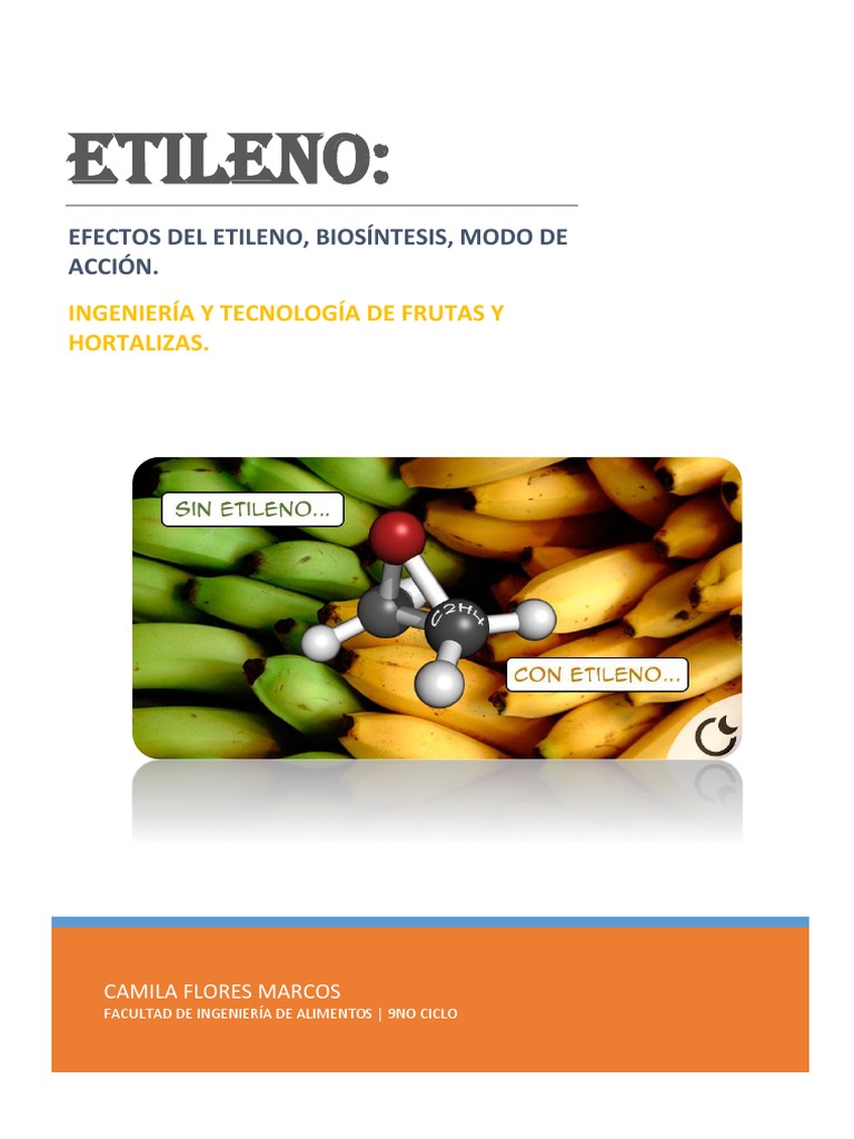 Efectos y biosíntesis del etileno en frutas | PDF | Etileno | Fruta
