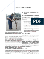 Derechos de Los Animales