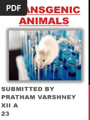 Transgenic Animals Pdf Transgene Genetically Modified Organism