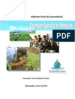 2014, Extension Agricola Honduras PDF