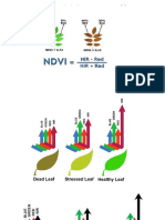 Resum Indi Ndvi