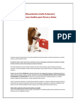 Primeros Auxilios con Perros y Gatos.pdf