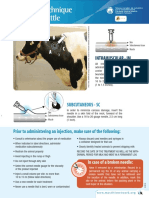 Injection Technique for Dairy Cattle