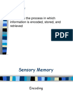 Memory Experiments STM