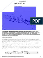 Scales 101 PDF