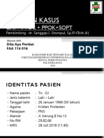 LAPSUS MINI.pptx