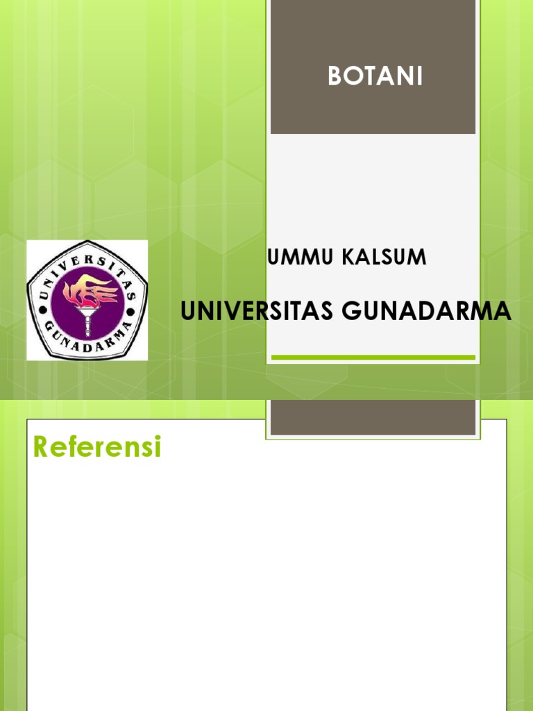 Paling Populer 26 Gambar Bunga Kakao Dan Bagiannya Paling Populer 26 Gambar Bunga Kakao Dan Bagiannya