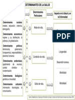 Mapa Conceptual - Determinantes de La Salud