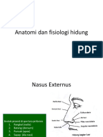 Anatomi Dan Fisiologi Hidung 