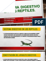Sistema Digestivo en Los Reptiles