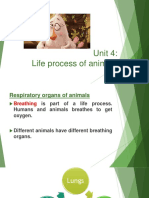 Unit 4-Life Process of Animals