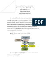 Ensayo Derechos Fundamentales