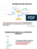17 Piruvato deshidrogenasa.pdf