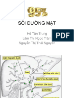 SỎI ĐƯỜNG MẬT