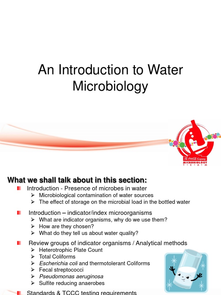 41 Water PDF Escherichia Coli Drinking Water