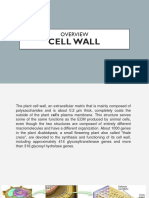 cell wall review 2.pptx