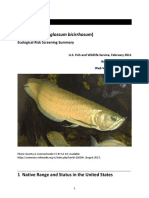 Osteoglossum Bicirrhosum ERSS FINAL Sept 2017