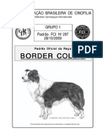 Border Collie Padrao Da Raca