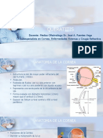 QUERATITIS