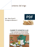II-Procesamiento-del-trigo.pptx