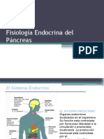 Fisiologia Del Pancreas