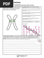 Alleles And Genes Handout Pdf Allele Phenotypic Trait