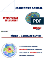 Célula Eucarionte Animal