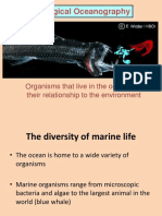 Biological Oceanography: Organisms That Live in The Ocean and Their Relationship To The Environment