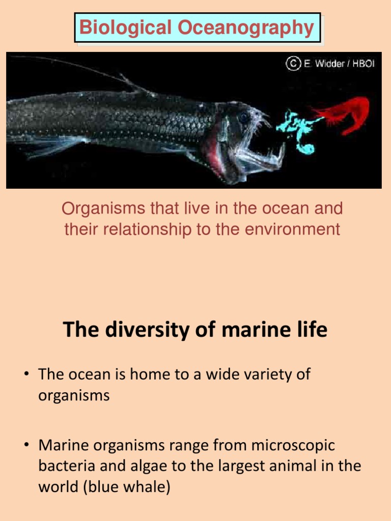 Biological Oceanography: Organisms That Live in The Ocean and Their ...