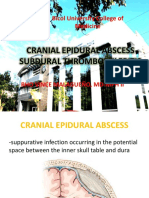 Cranial Epidural Abscess