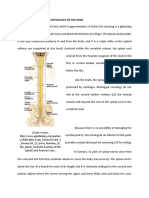 AnaPhysio 