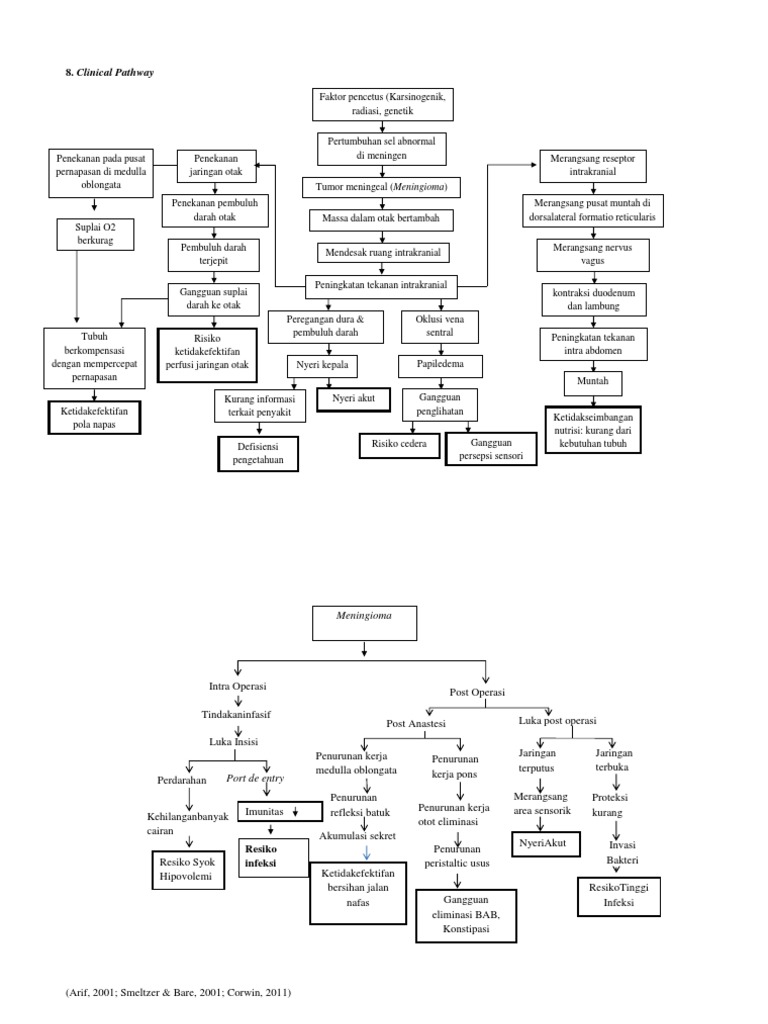 Pathway Tumor Meningioma dan Pasca Operasi | PDF