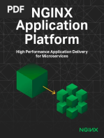 2018-11-19-NGINX_Application_Platform.pdf