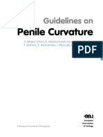 EAU Guidelines Penile Curvature 2013