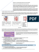 2dasemanadereforzamientotardetextos Expositivos 2