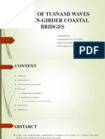 Deciphering The Tsunami Wave Impact and Associated Connection