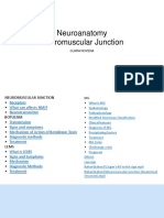 Neuroanatomy Neuromuscular Junction: Clara Novena