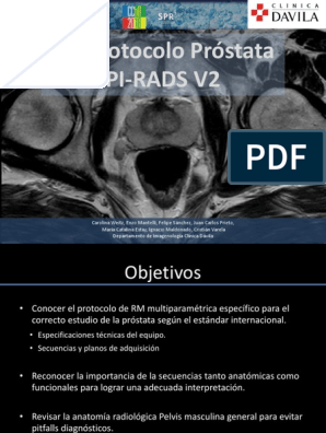 anatomia radiologica prostata)